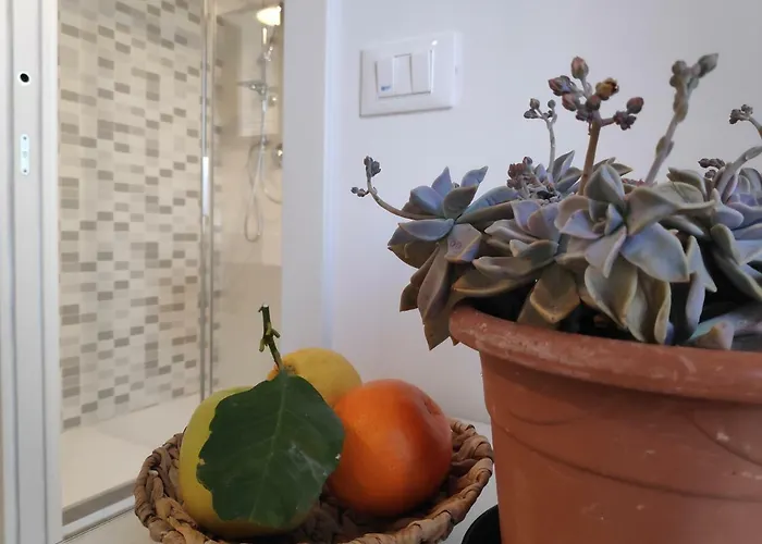 Casadei Stazione 3* Boloňa